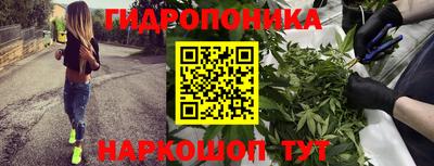 амф Чебоксары
