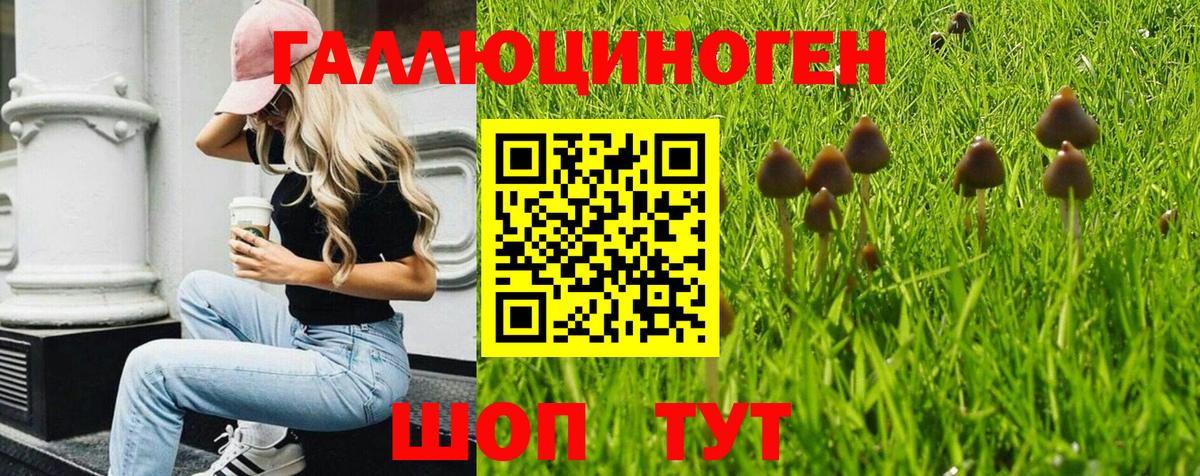 Галлюциногенные грибы прущие грибы  Вход с VPN  Электрогорск 
