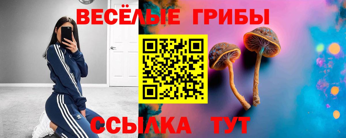 Псилоцибиновые грибы ЛСД Электрогорск